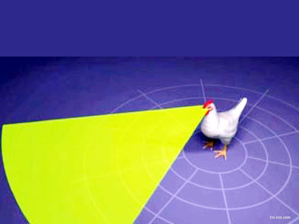 Visión binocular
