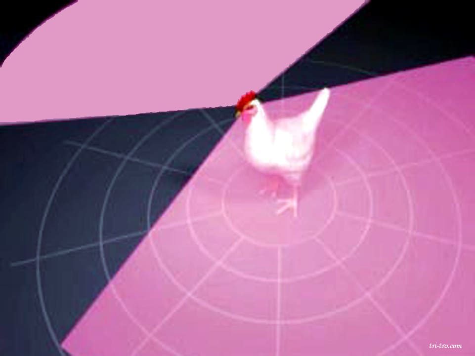 Visión monocular