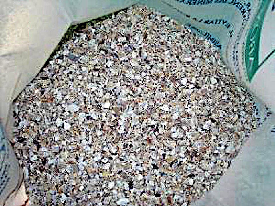 Conchillas Reciclaje de conchas marinas, ostras