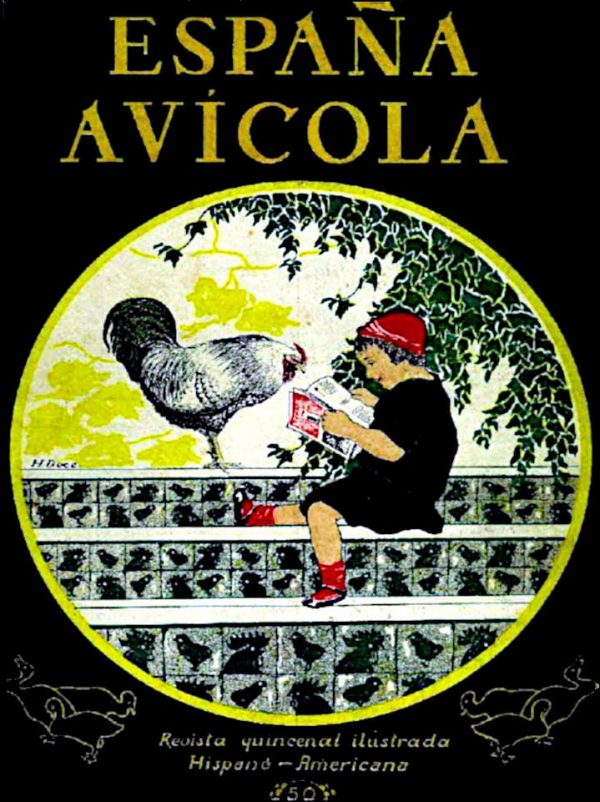 España Avicola