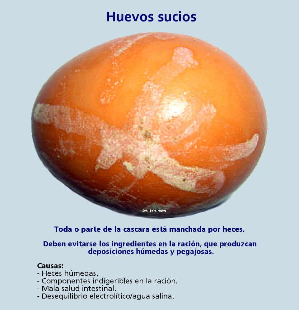 Huevos sucios