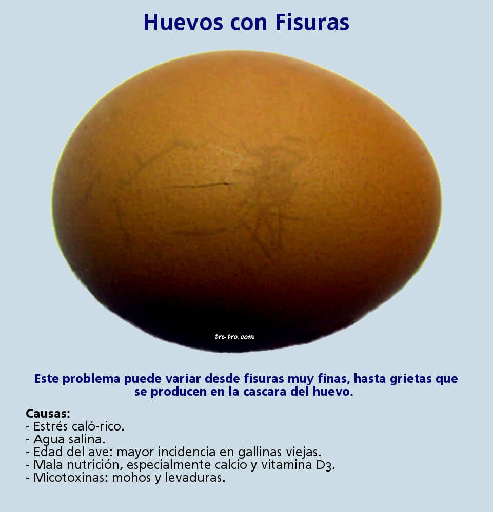 Huevos con fisuras