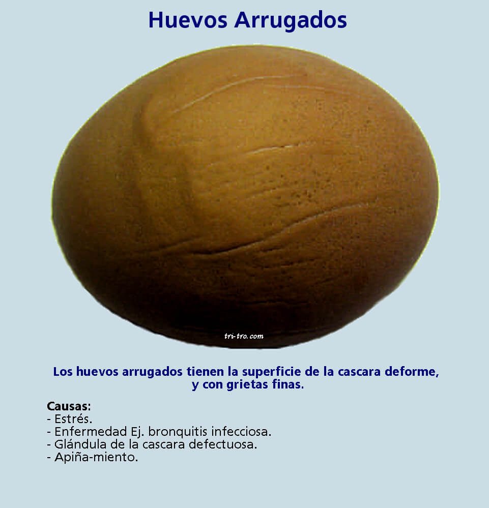 Huevos arrugados