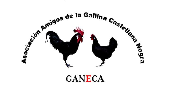 logo de Ganeca