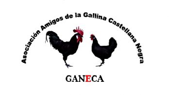 logo de Ganeca