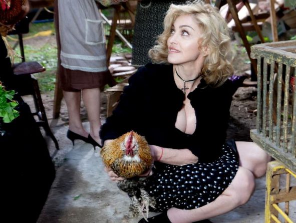 Madonna con un gallo, vestida con Dolce & Gabbana