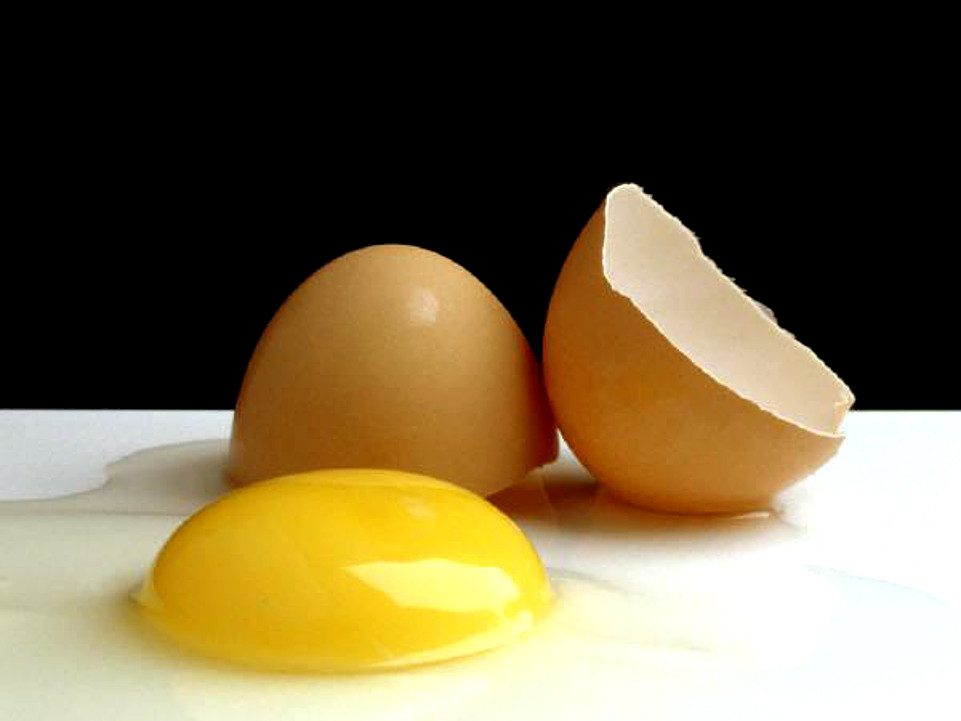 Problemas más comunes, en la cascara del huevo.